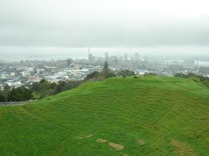 View from Mount Eden