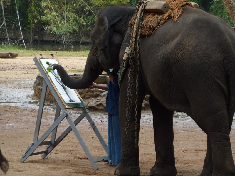 An elephant painting