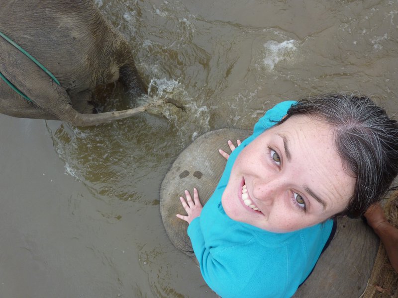 Me on the elephants neck!