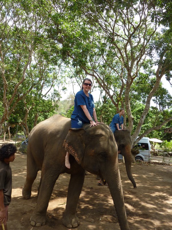 Taking the elephant for a test drive