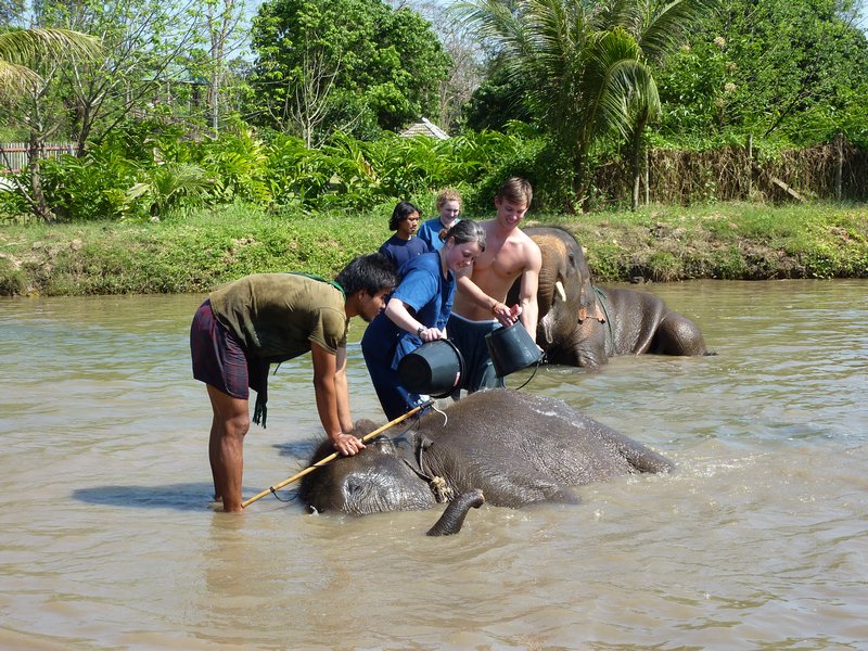 Bathing my elephant
