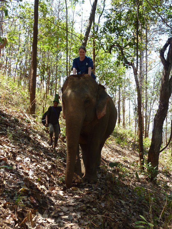More me on an elephant