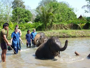 Bathing my elephant