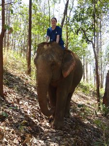 More me on an elephant