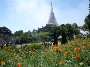 Pagoda with gardens