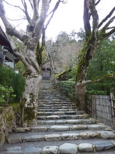 Stairs up to Jakkoin temple