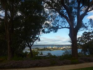 View from Kings Park