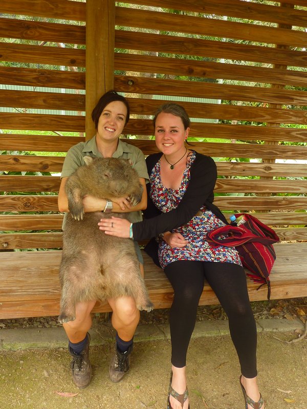 Me and a wombat