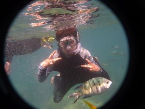 Snorkeling