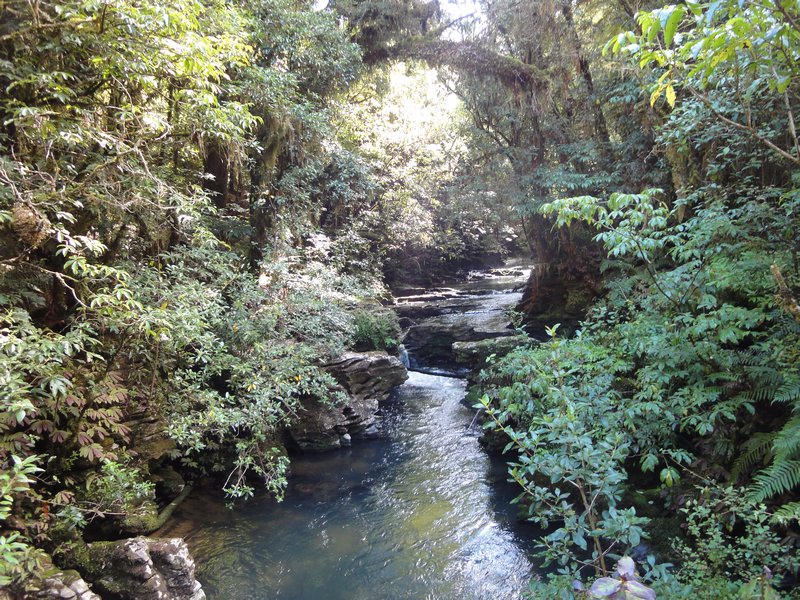 Waitomo - vandring