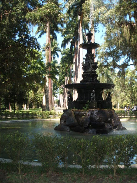 Jardim Botanico