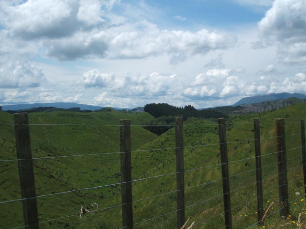 Wanganui National Park