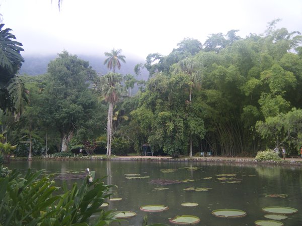 Botanical Gardens Rio