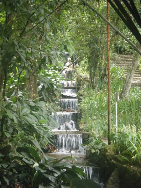 Botanical Gardens Rio