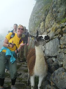 Geeky pose with a Lama