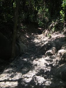 Horse Trail