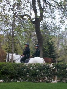 Police riding around in the park