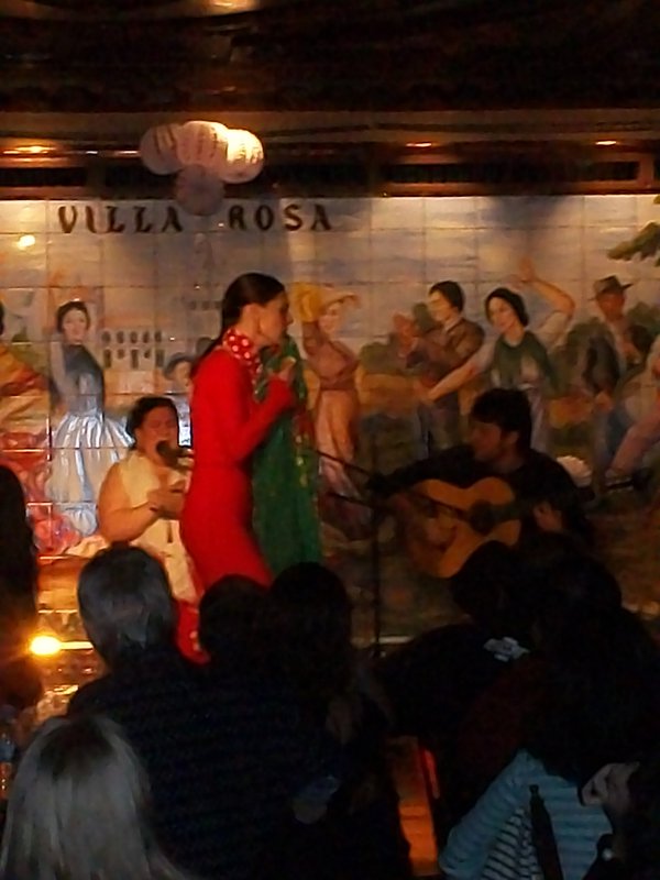 Flamenco show at Villa Rosa
