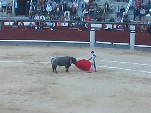 Enter the matador