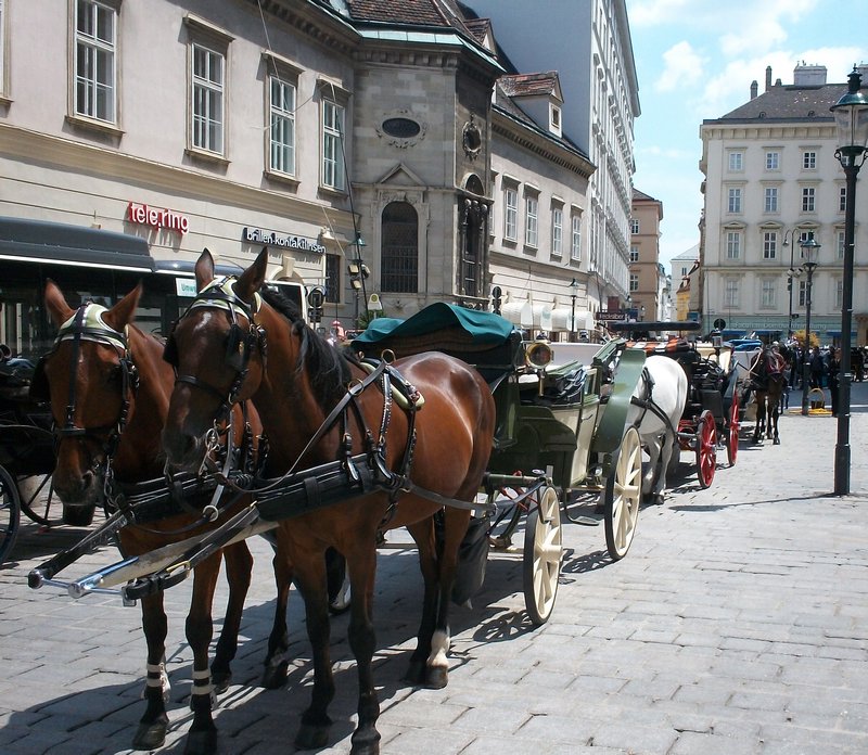 Line of horses and carriages outside the cathedral