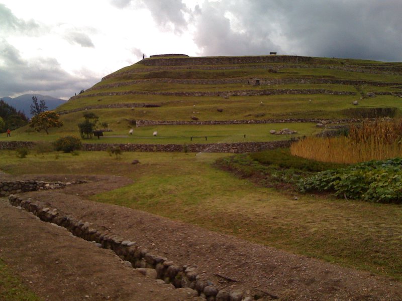 Pumapongo Incan ruins