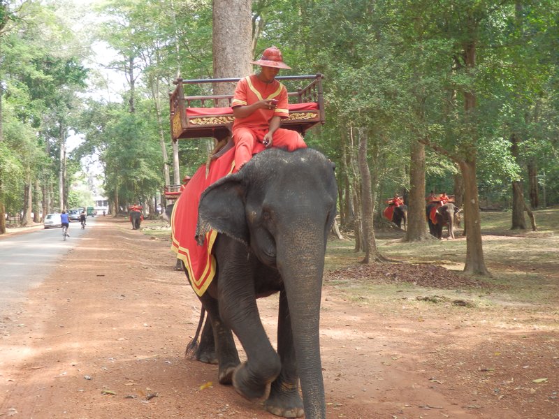 Ankor Wat elephant