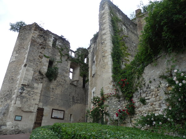 Chateau-de-Montressor