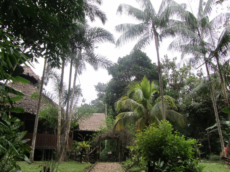 Our rainforest retreat