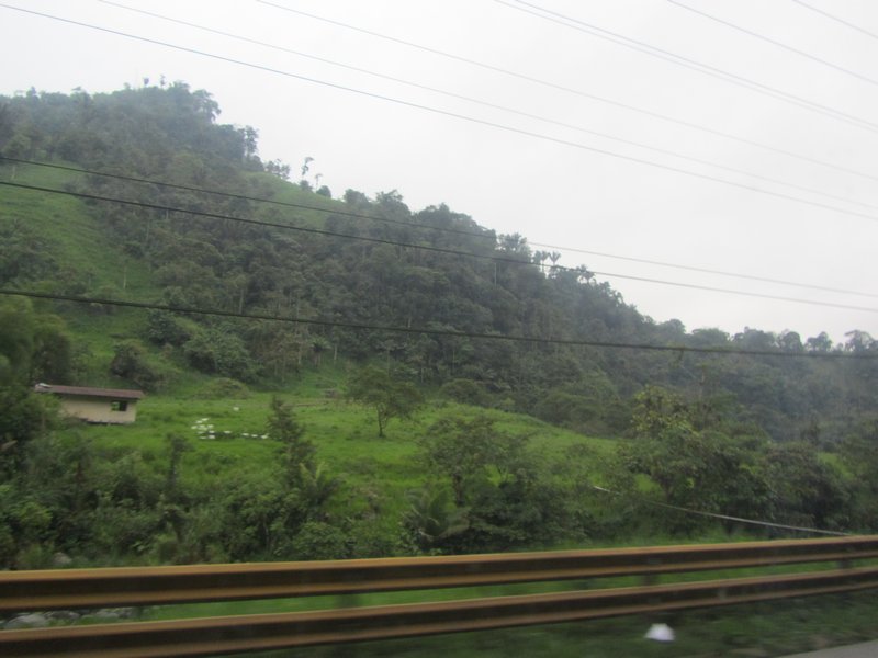 The lush green ecuadorian countryside