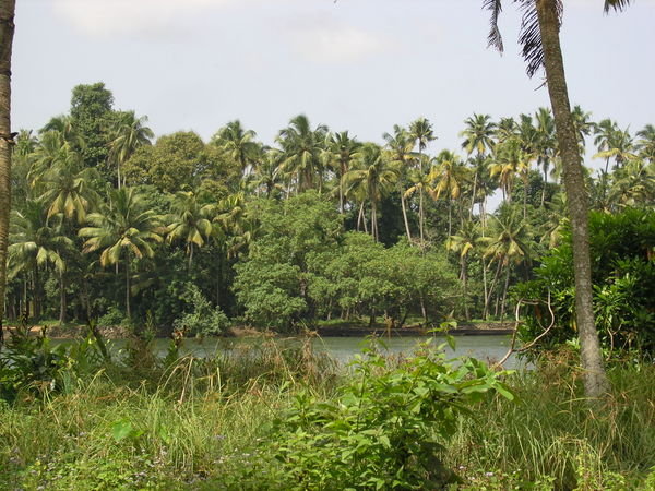 Kerala is really green