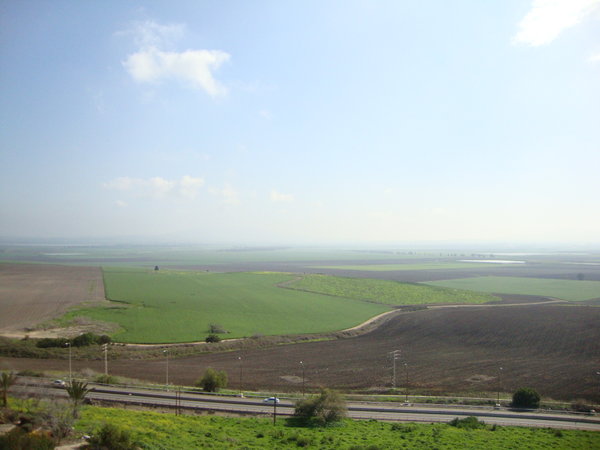 Megiddo Looking East