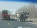 Overloaded trucks