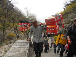 Sherpa carrying up Chinese Red bull