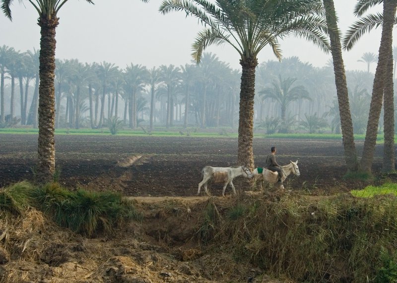 Rural life outside of Cairo