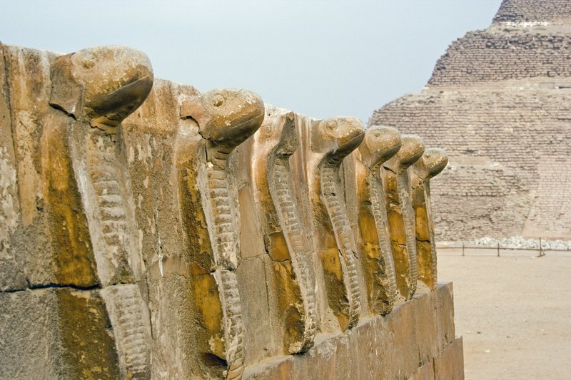 Detail of cobras, Seqqara