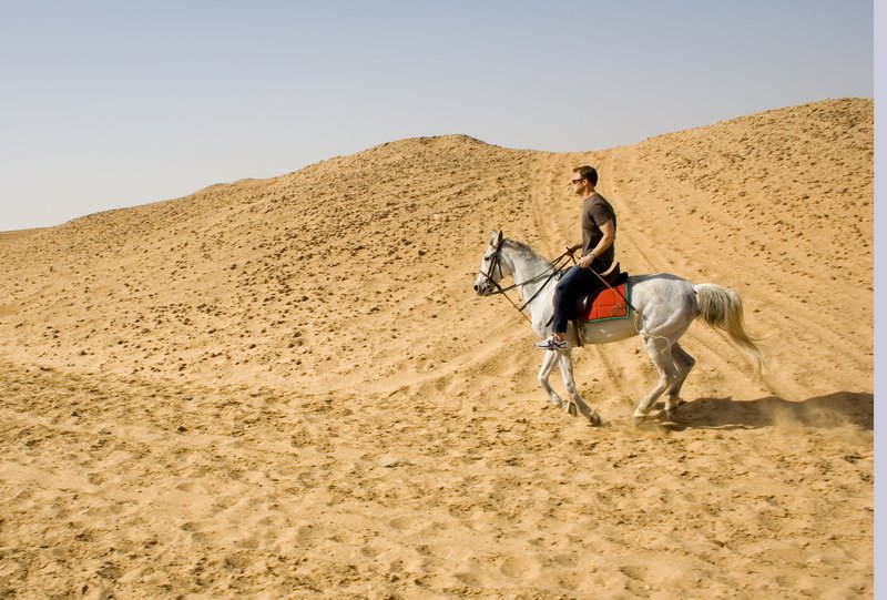 Riding in Giza