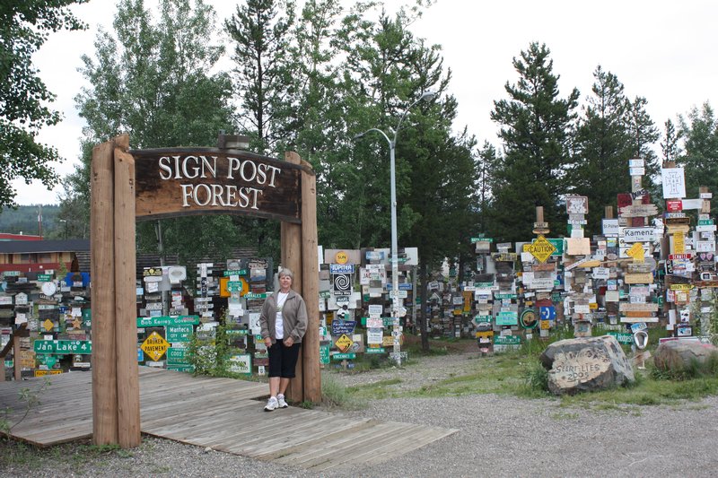 Entrance to the Sign Forest