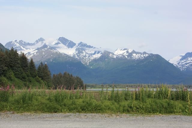 Valdez view