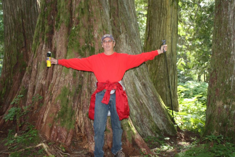 Jim and the big cedars