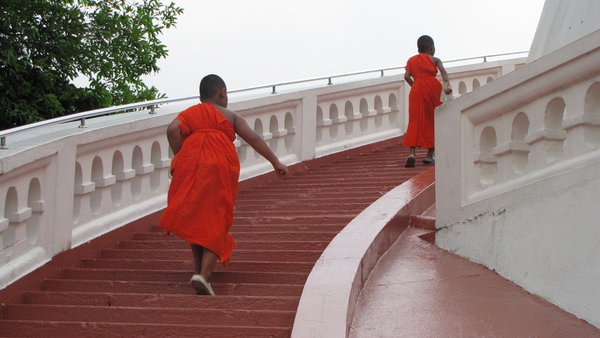 monk boys walking up the golden mountain