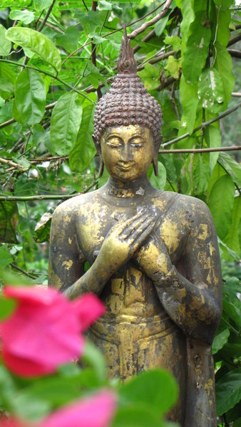 Buddha statue next to the strainrs at The Goulden Mountain