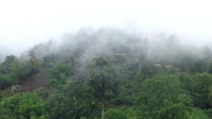 heuvels in de morgen mist