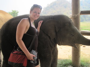 Bebe elephant and me :)