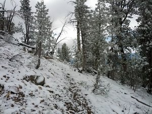 Along the Horton Peak Trail