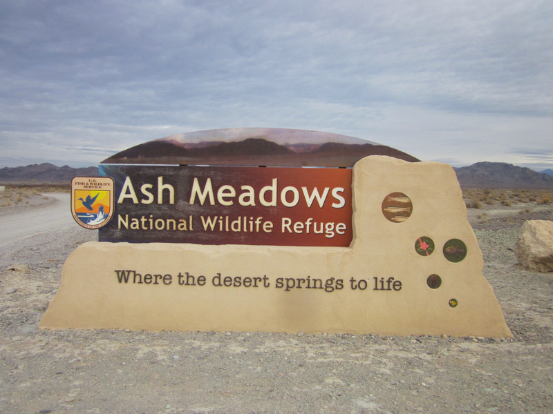 Ash Meadows Sign