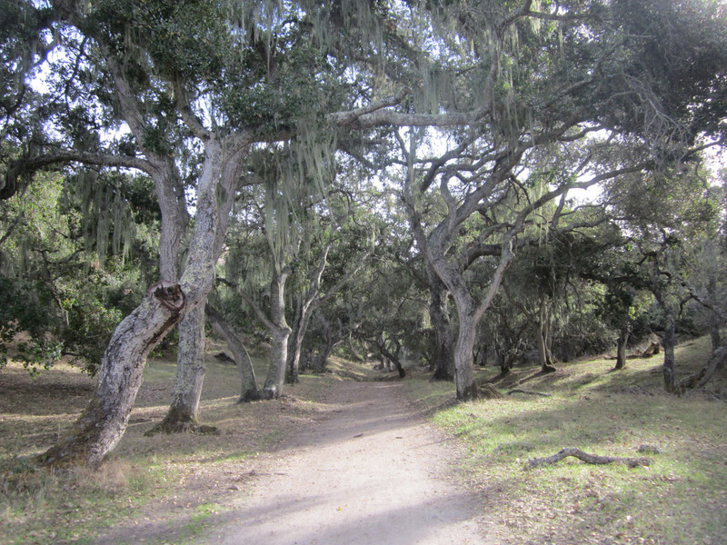 Monterey County's Toro Park