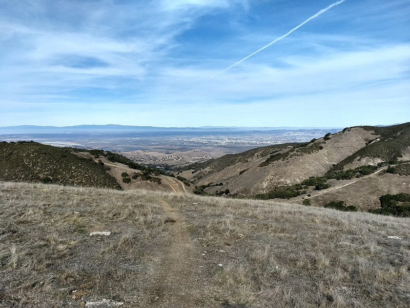 Ollason Peak Trail
