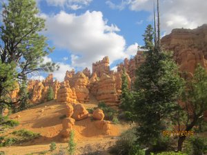 Red Canyon area of Dixie National Forest
