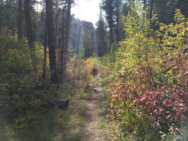 Hell Canyon Trail