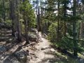 Sherd Lake Trail